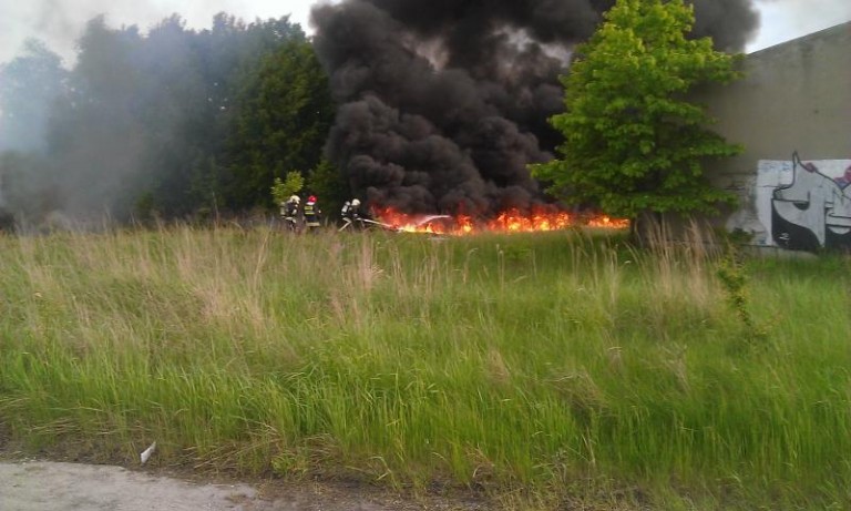 Strażacy uratowali las