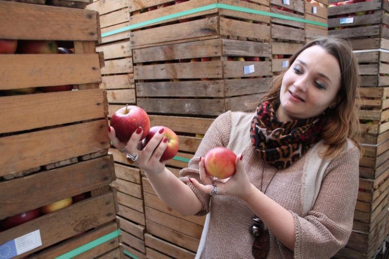 Tony bezpłatnych jabłek