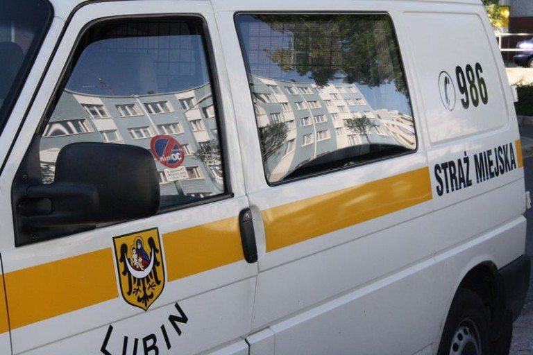 Nowy bat na nielegalnych kupców