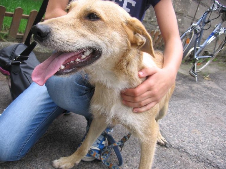 Podzieli się swą radością