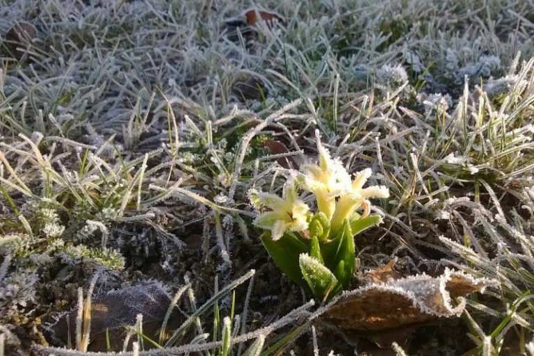 Po konkursie. Bilety rozdane
