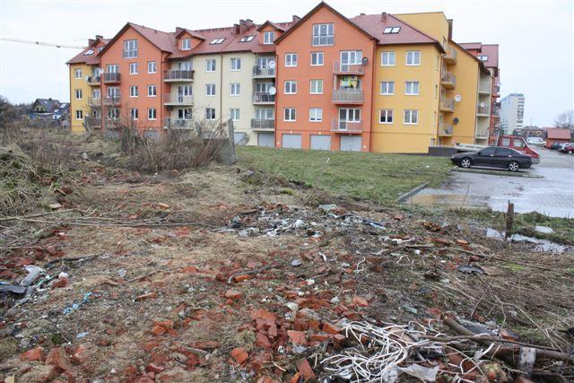 Dziki wstyd (FOTO)