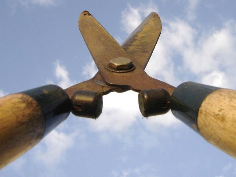 Złodziej amator narzędzi ogrodowych