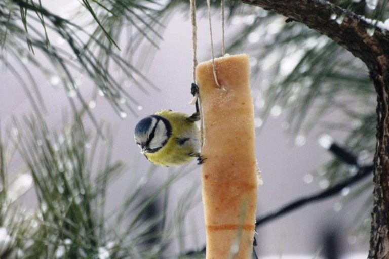 Konkurs zakończony, wybraliśmy zwycięzców