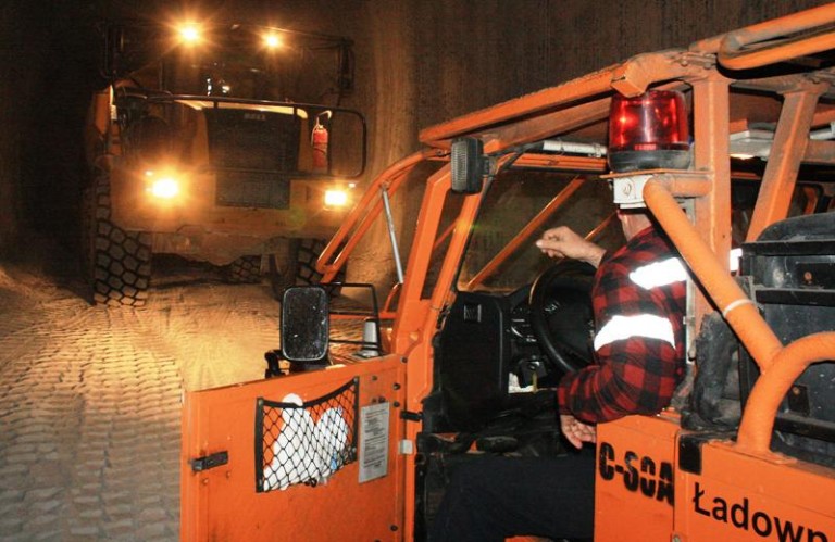 Górnicy bez zysków?