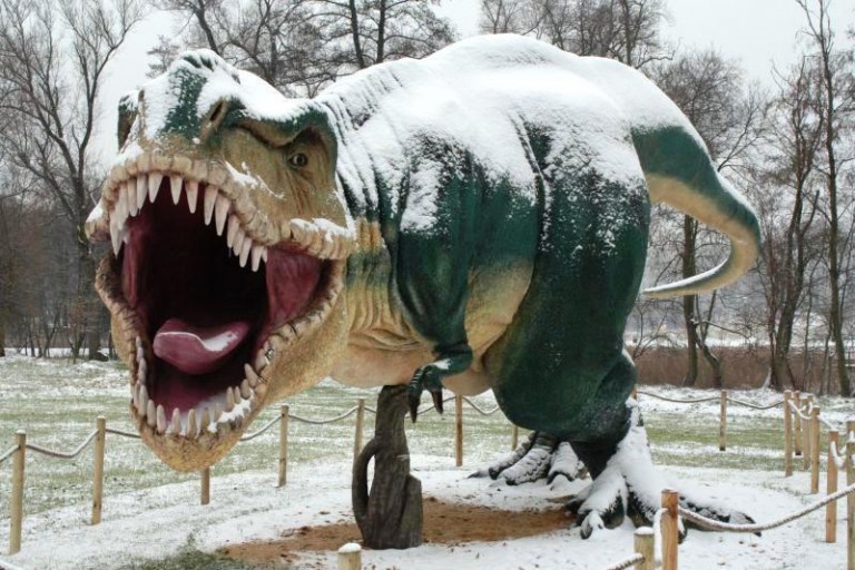 CEP w parku Wrocławskim