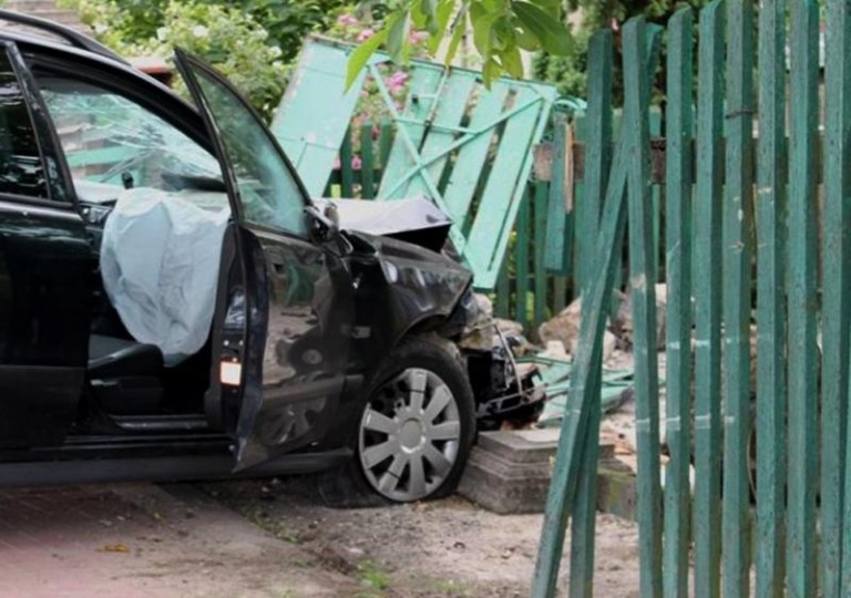 Zatrzymał się na płocie