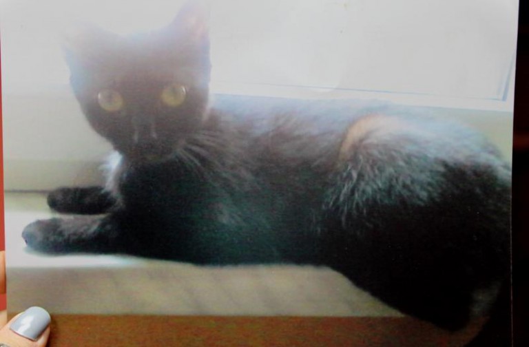 Nagroda za znalezienie Mini