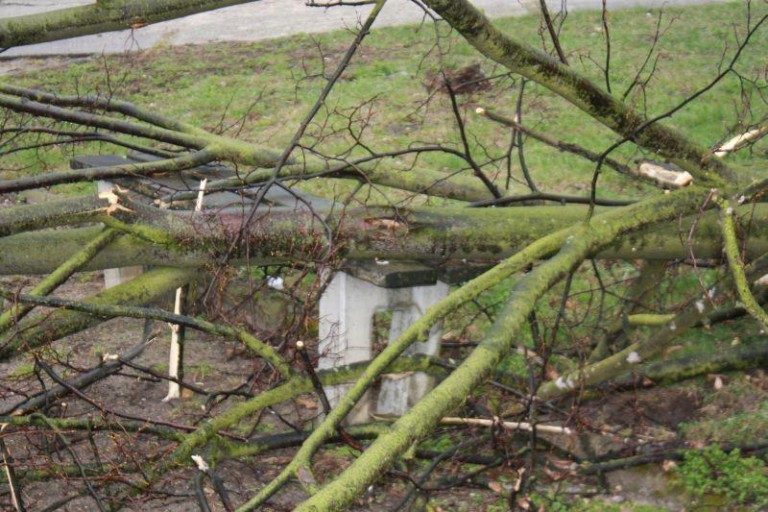 Spokojny początek świąt