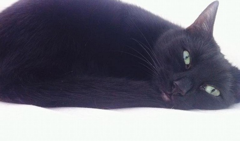 Zaginęła. Nagrodzą znalazcę