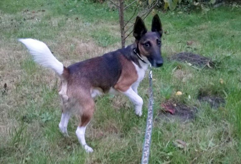 Pewnie komuś uciekł