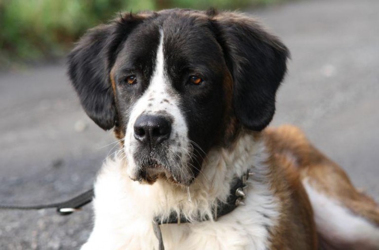 Natychmiast potrzebna operacja