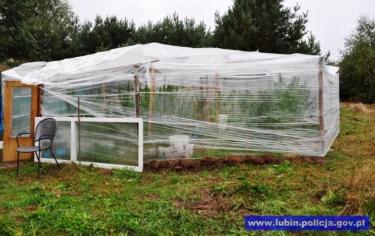 Botanik w rękach policji