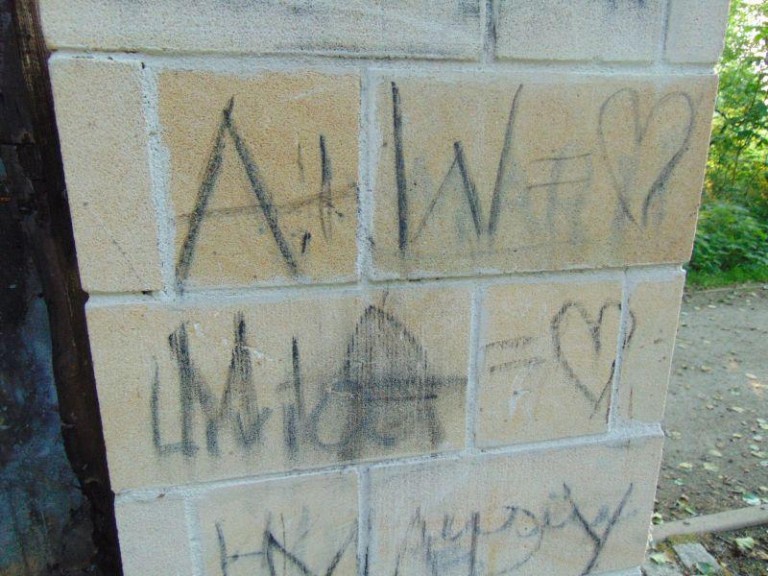 Niszczą co popadnie