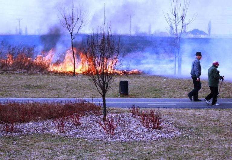 Pożar przy parku Jana Pawła II