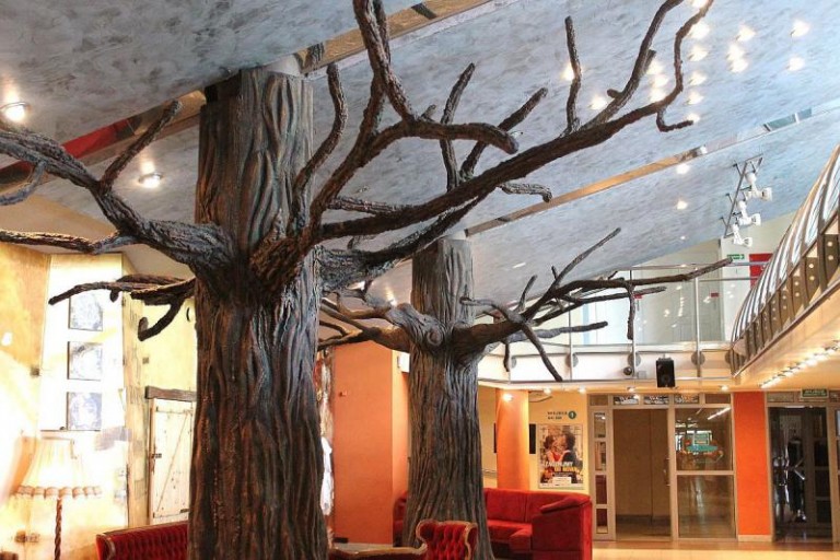 W Muzie wyrosły drzewa