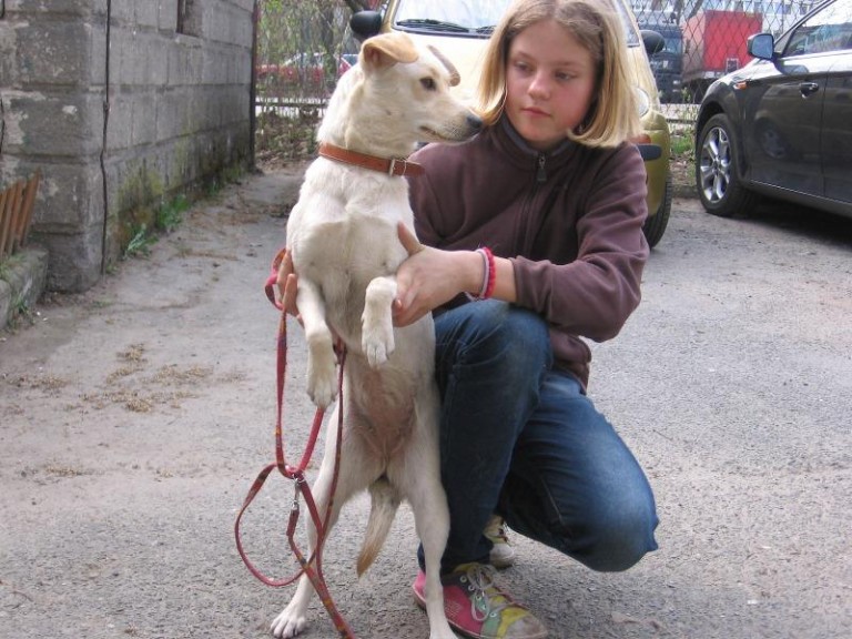 Lecznica czeka na wolontariuszy