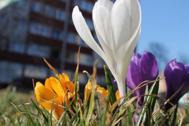 Będzie ich tysiące