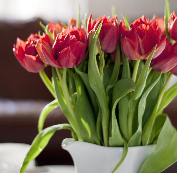 60-letni amator kwiatów. Ukradł i uciekł