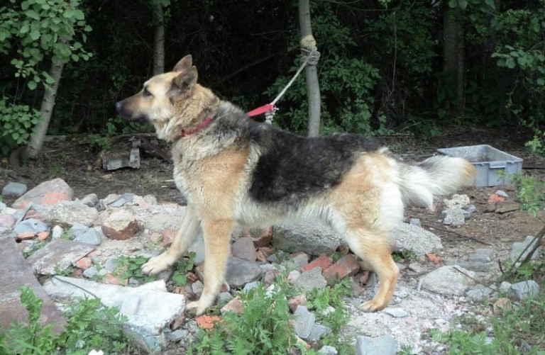 Miał konać w męczarniach (AKTUALIZACJA)