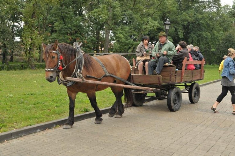 Goście z Saksonii