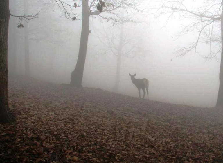 Wolą zimę bez śniegu