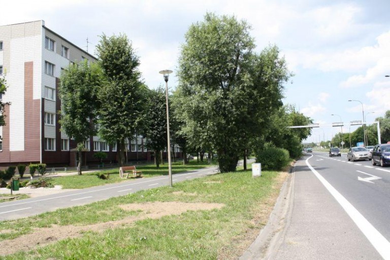 Postawią, ale jeszcze nie teraz