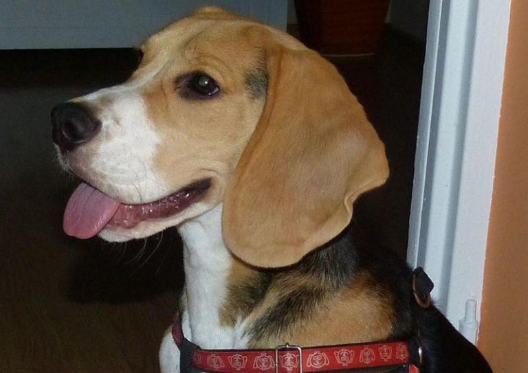 Uciekł i nie mogą go znaleźć (AKTUALIZACJA)