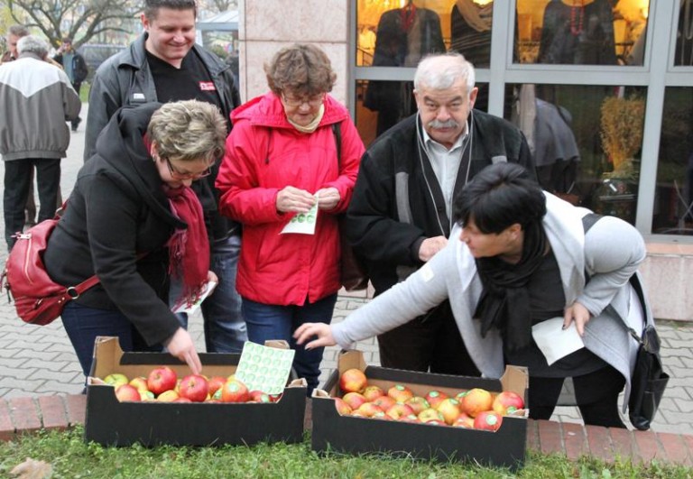 Na koniec rozdawali jabłka