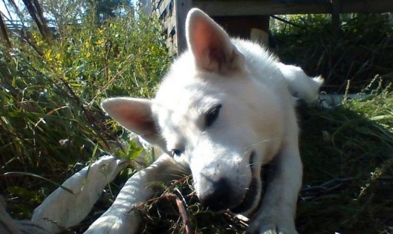 Czy ktoś jej szuka?