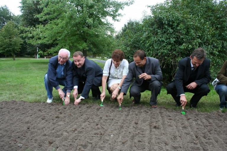 Teraz zasadzą, na wiosnę zakwitną