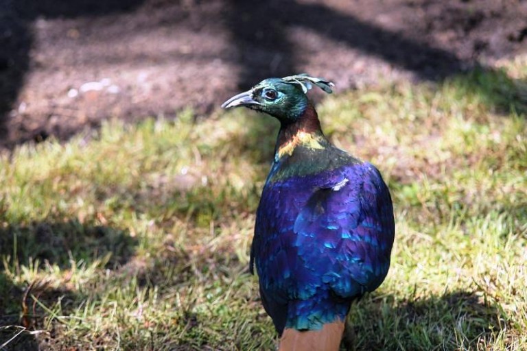 W parku są pewne zakazy