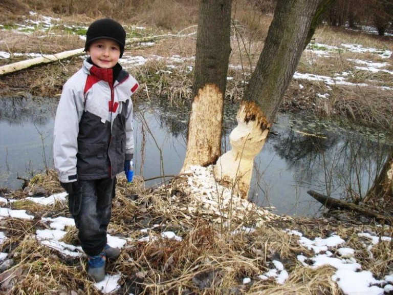 Nie ma już po nich śladu