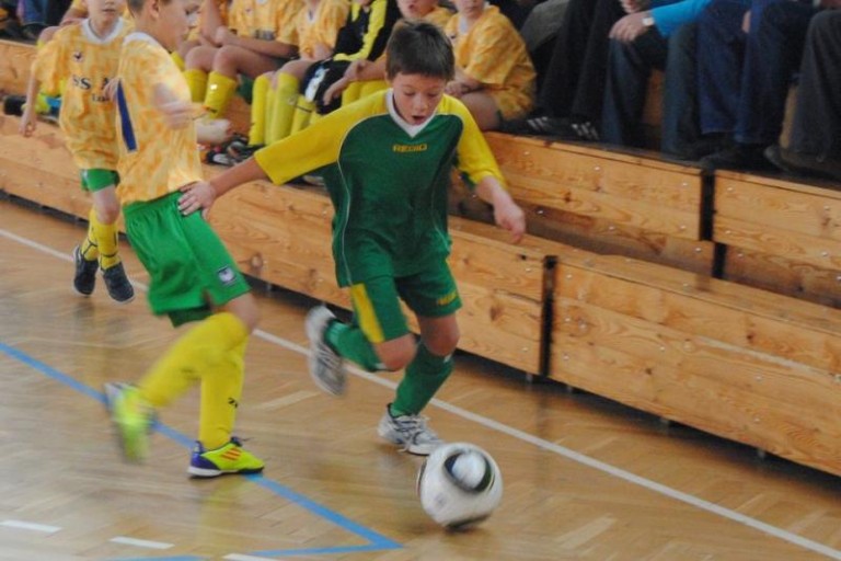 Orliki Amico w Polkowicach