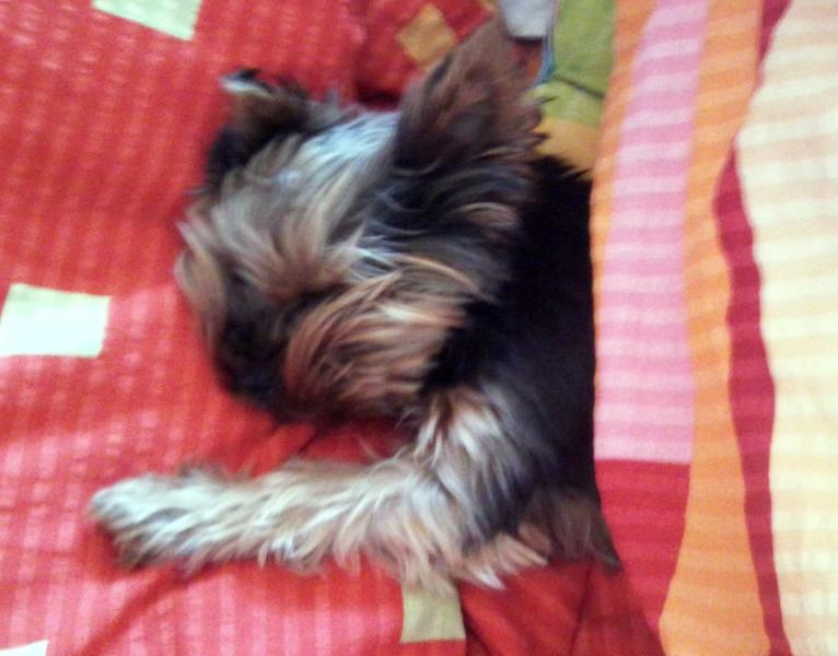 Nie było go od sylwestra