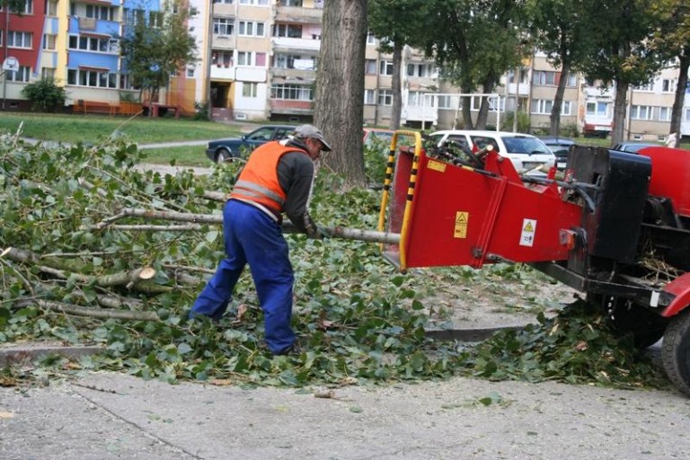 Topole ustępują parkingom