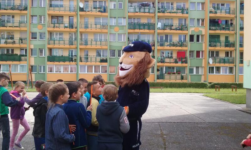Bezpieczni w swoim kraju i mieście