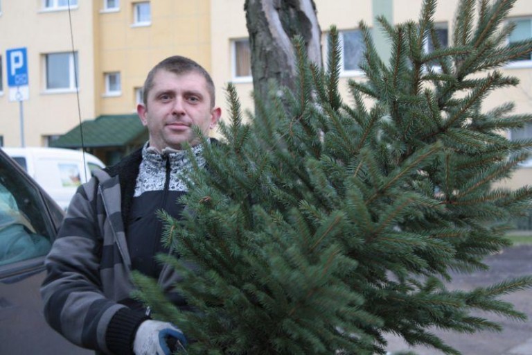 Gdzie po choinkę