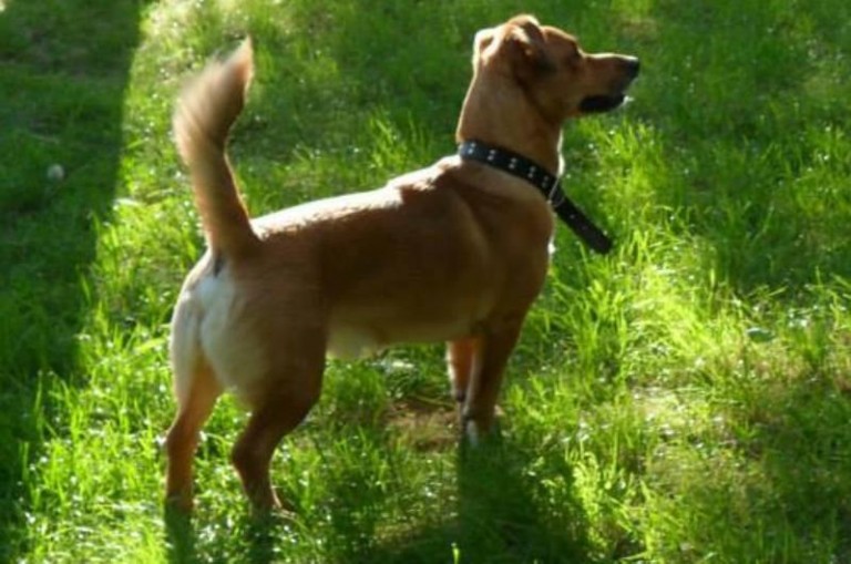 Stefan czeka na miłość