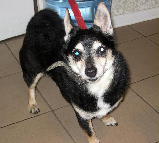 Namieszał przed szkołą