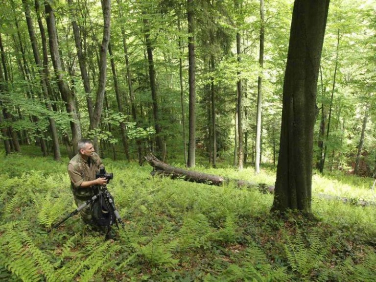 O zwierzętach i fotografii