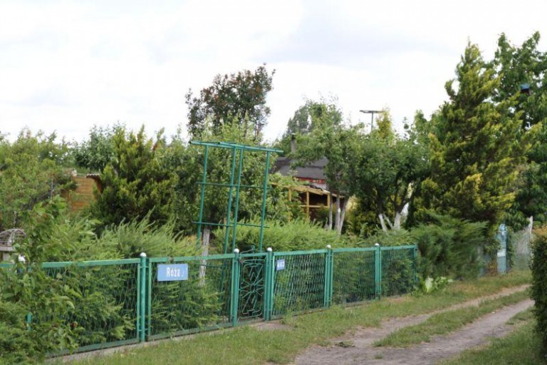 Pijani włamywacze