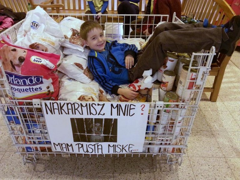 Kolejna akcja w markecie