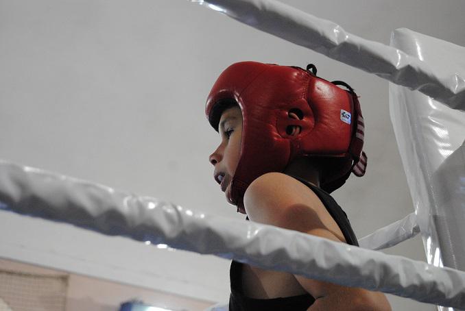 Wojownicy wrócili na ring