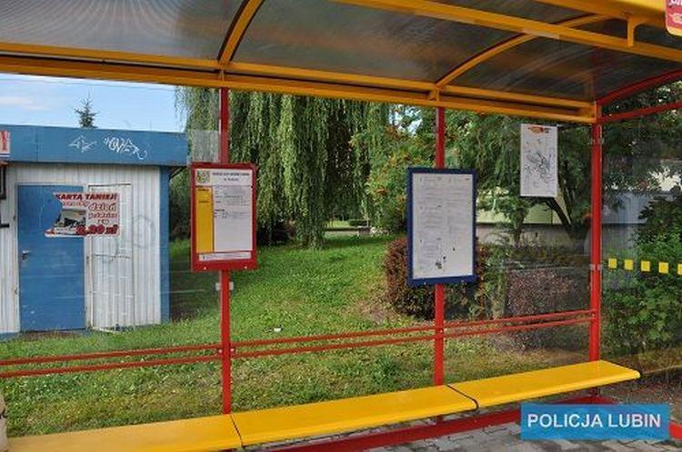 3 promile alkoholu i zniszczona wiata