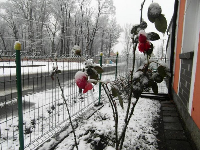 Ostatnie godziny konkursu