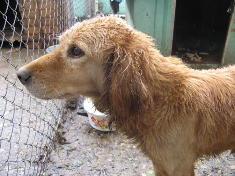 Cmentarzysko i schronisko