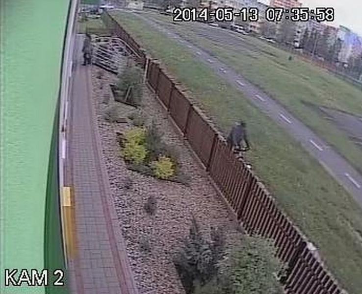 Szuka złodzieja na własną rękę