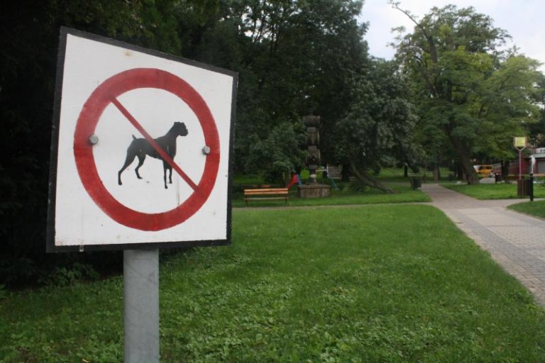 Z psem wstęp wzbroniony