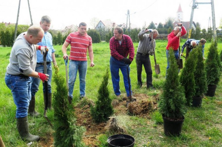 Sadzili razem z wójtem